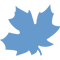 Aktuelles